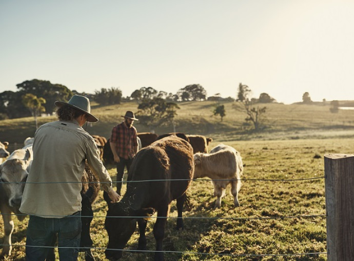 iStock 642438606 agriculture123